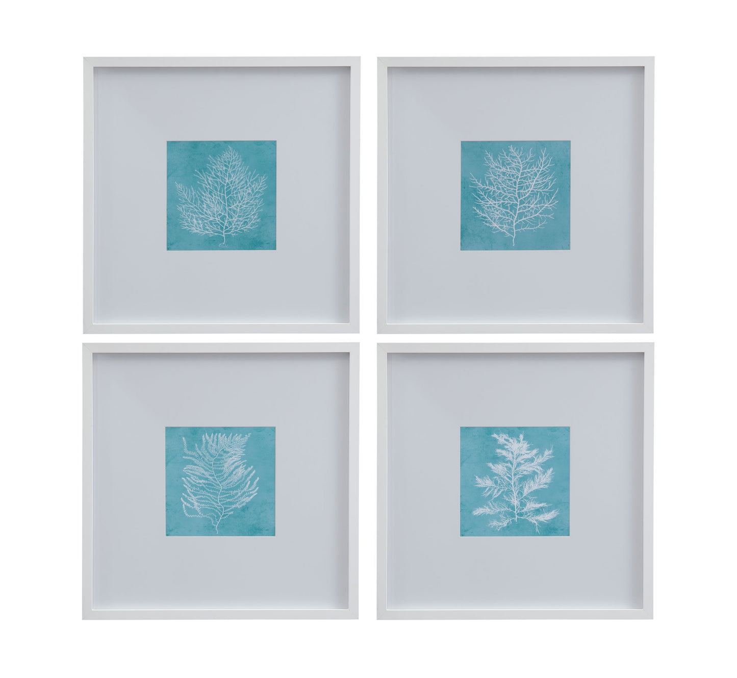 White Coral On Blue III Framed Print - Blue / White