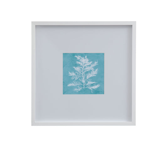 White Coral On Blue IV Framed Print - Blue / White