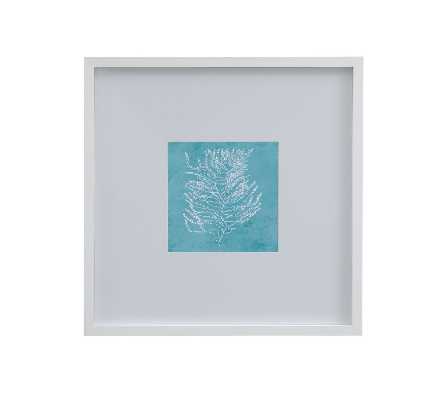 White Coral On Blue III Framed Print - Blue / White
