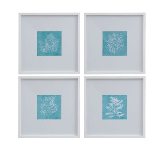 White Coral On Blue Framed Print (Set of 4) - Blue / White