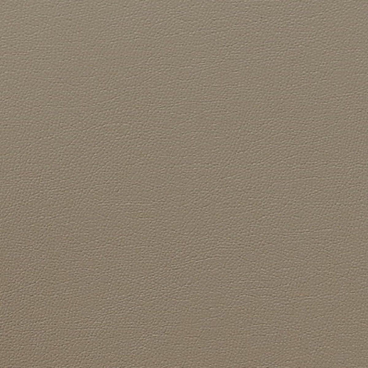 Courding - Dining Chair - Tan