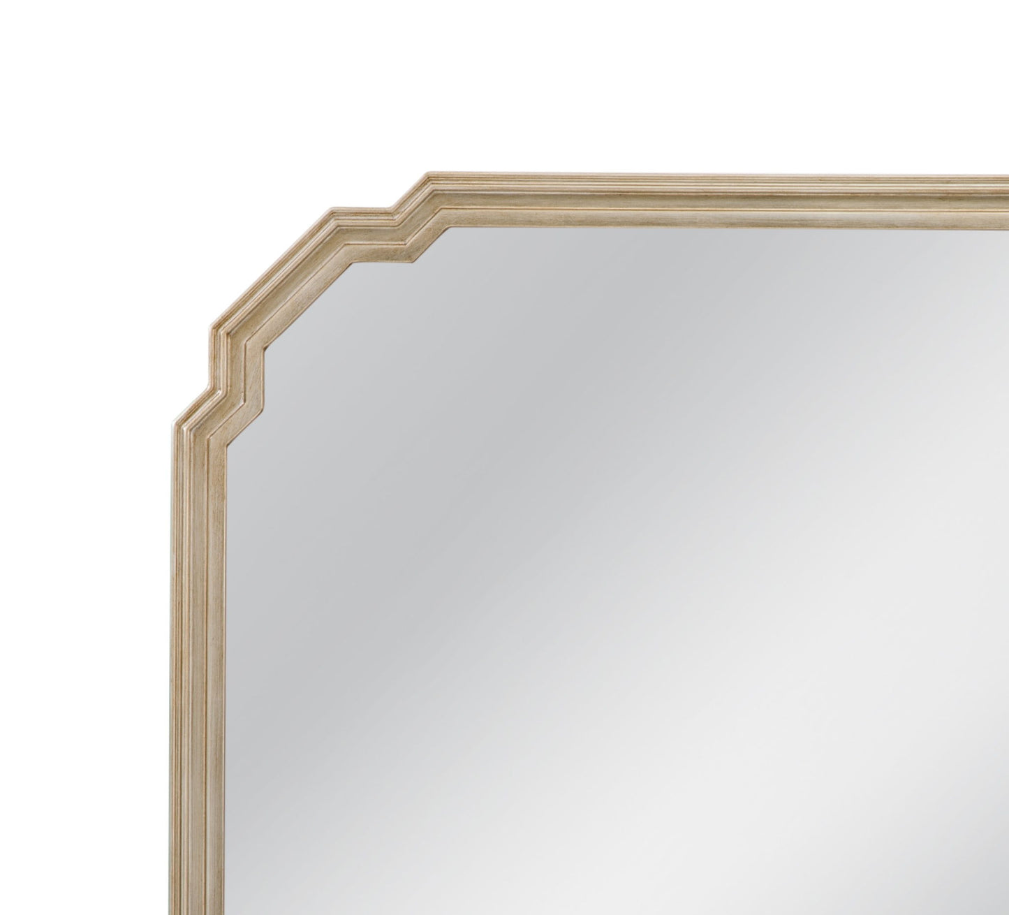 Mimosa - Wall Mirror - Ant Silver Leaf