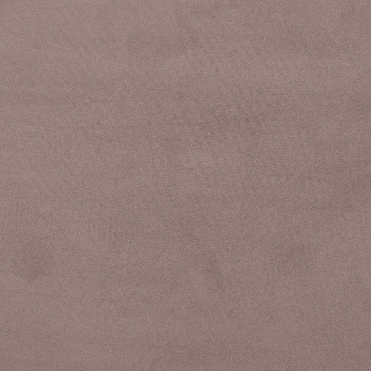 Trippel - Loveseat - Taupe