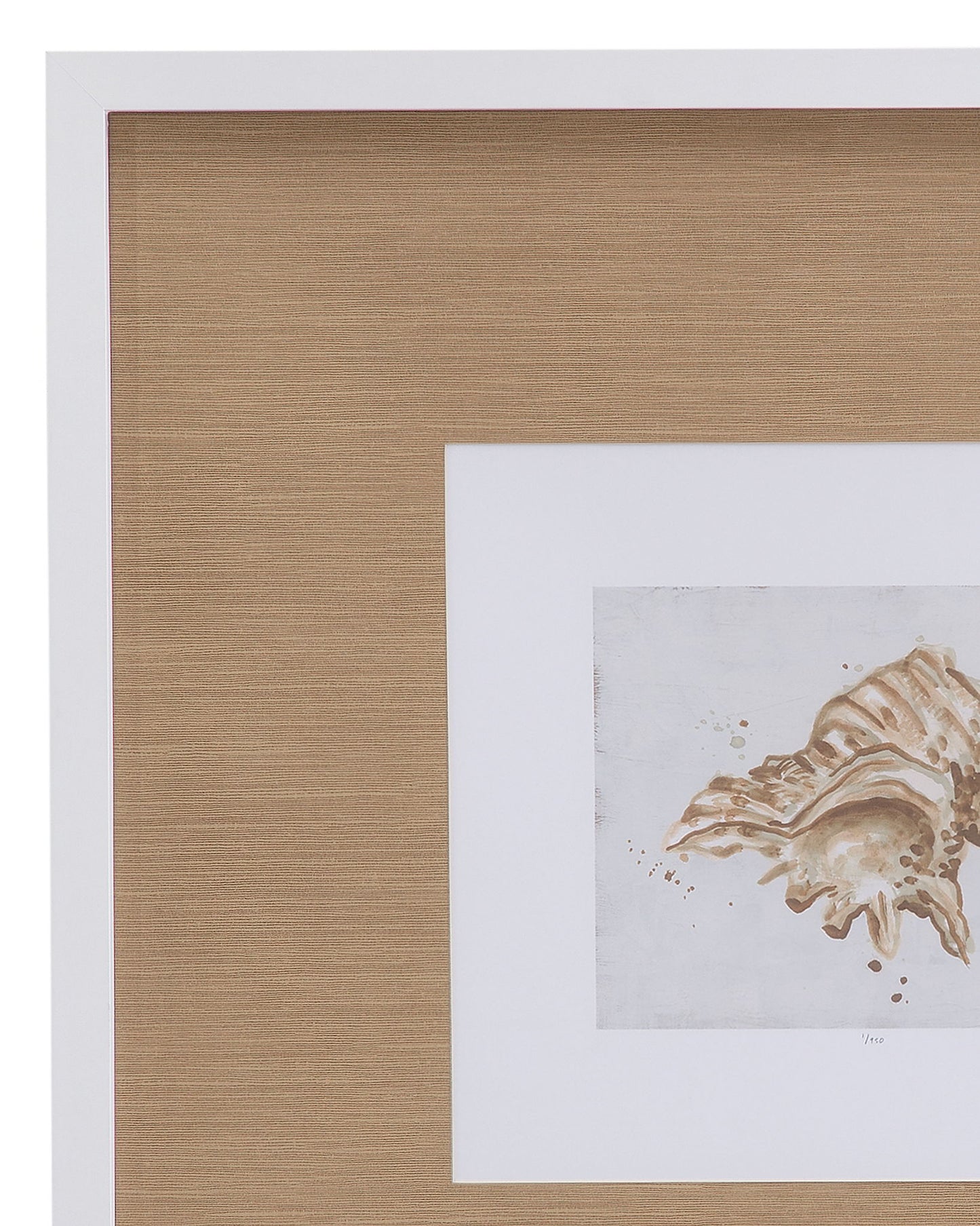 Neutral Shell Fresco III Framed Print - Light Brown / White