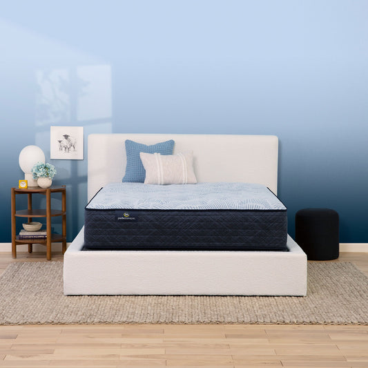 Perfect Sleeper - 13.5" Ballground Nights Plush Mattress