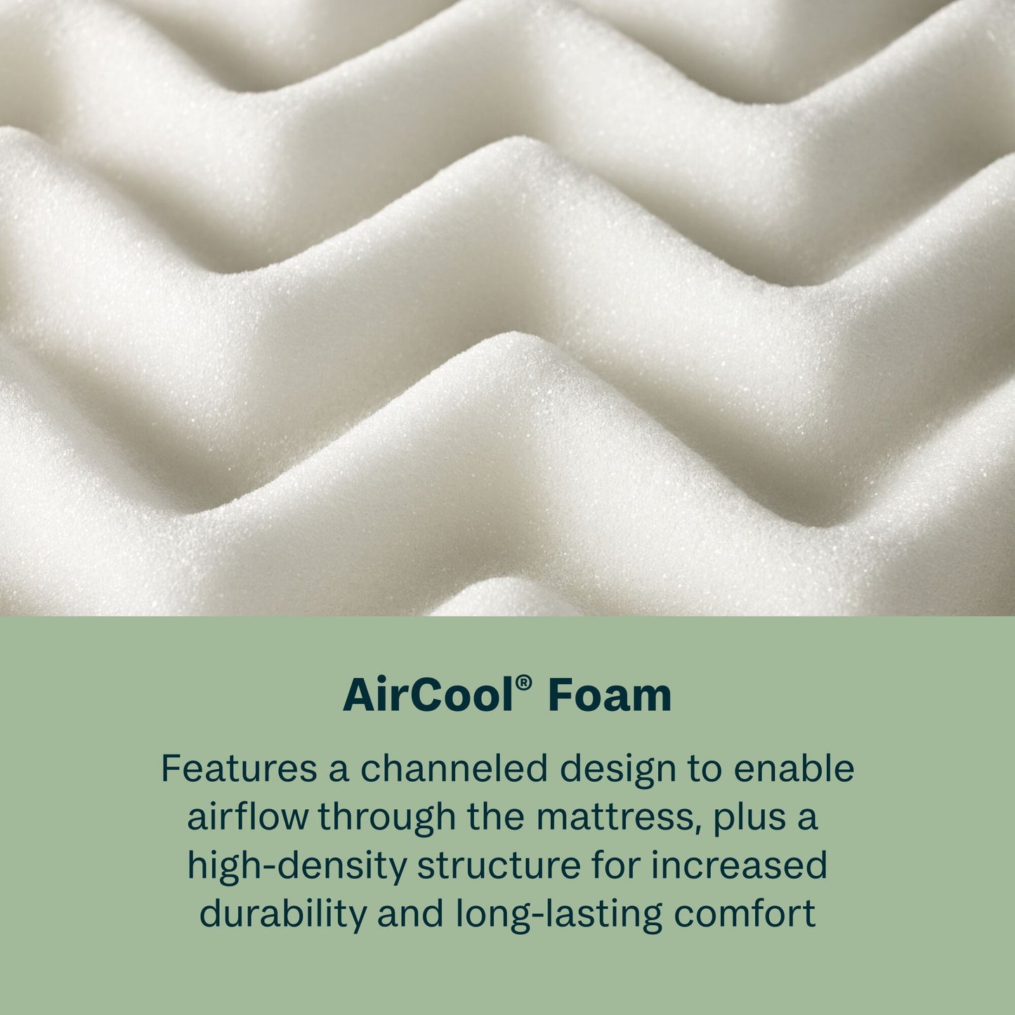 Soothing Nights - 16" Plush Pillow Top Mattress In A Box