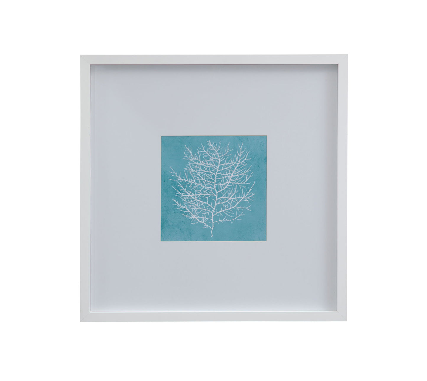 White Coral On Blue II Framed Print - Blue / White