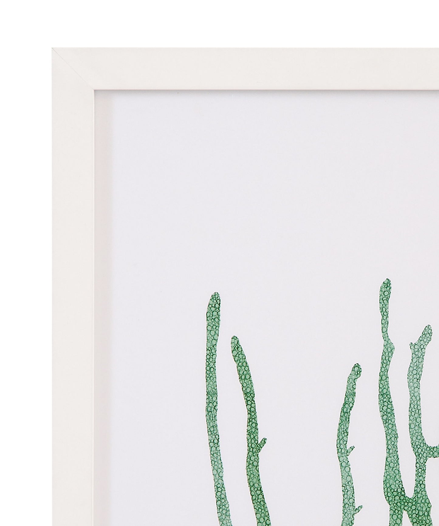 Coral Souvenirs II Framed Print - Green