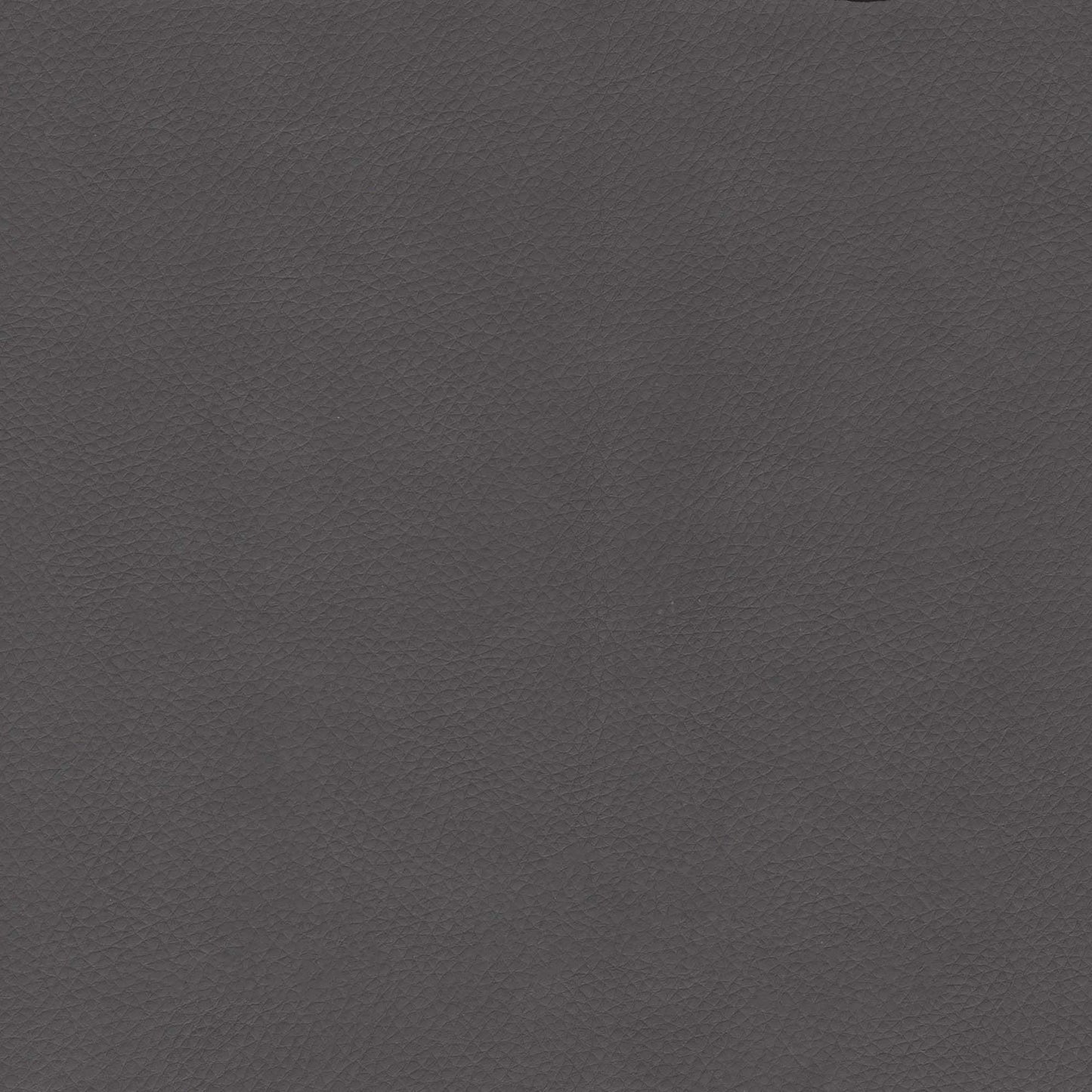 Maxine - Dining Chair