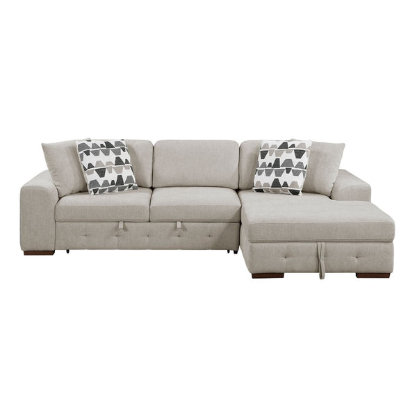 Raife 2-Piece Sectional with Right Chaise and Pull-out Bed