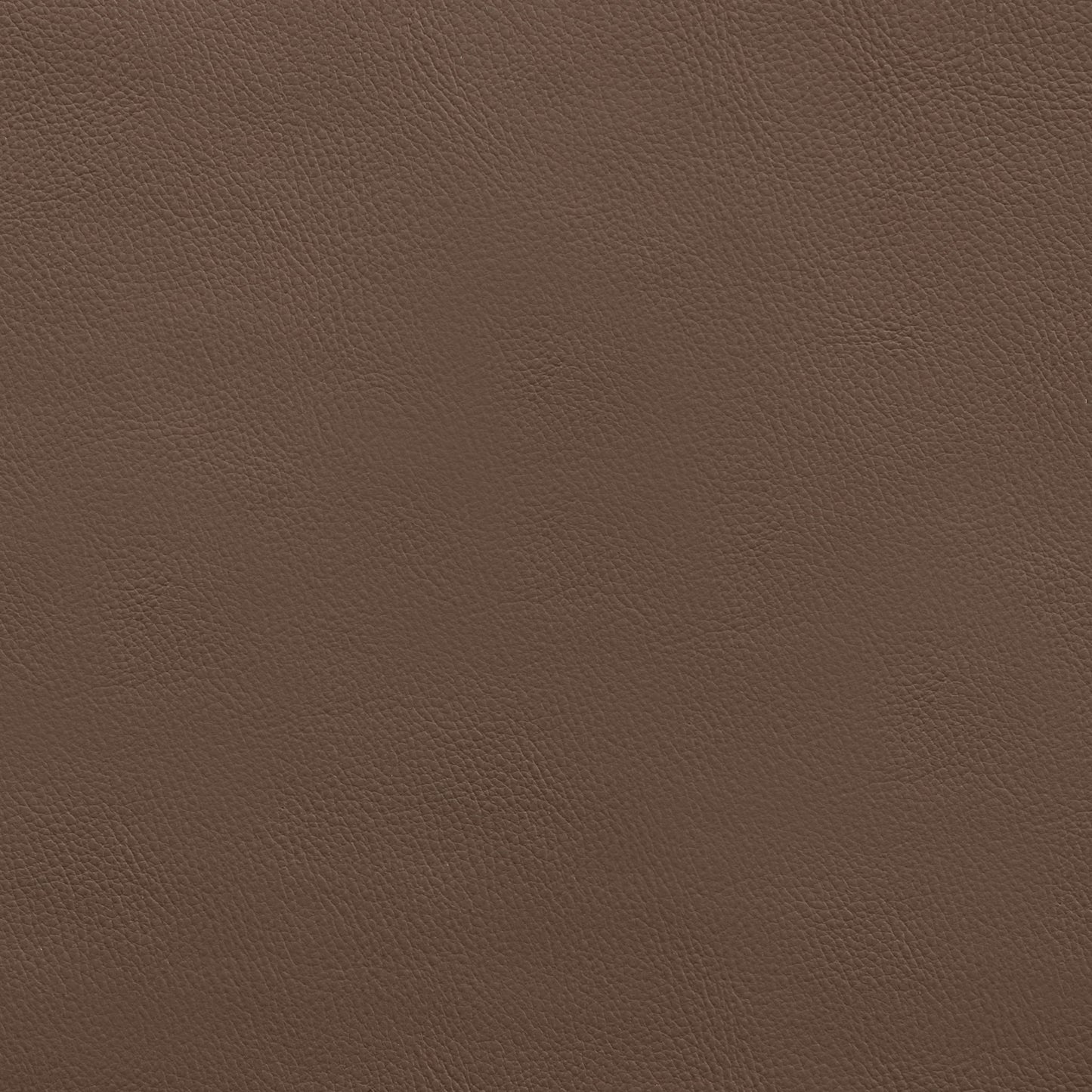 Avon - Dining Arm Chair