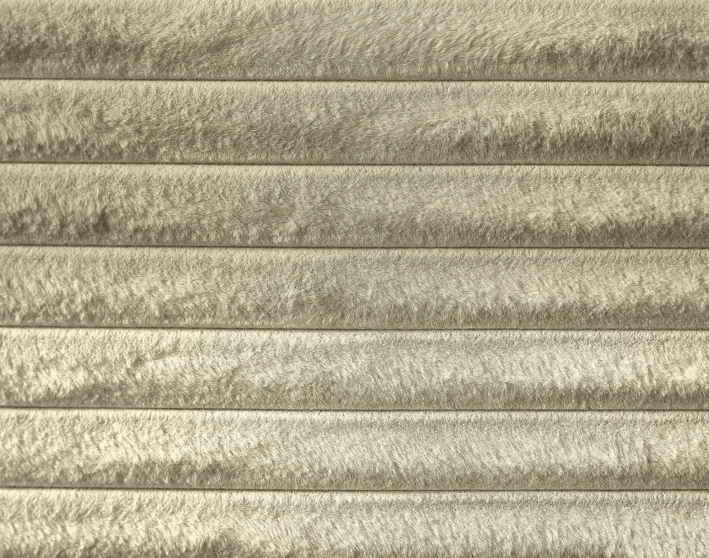 Dexter - Bed