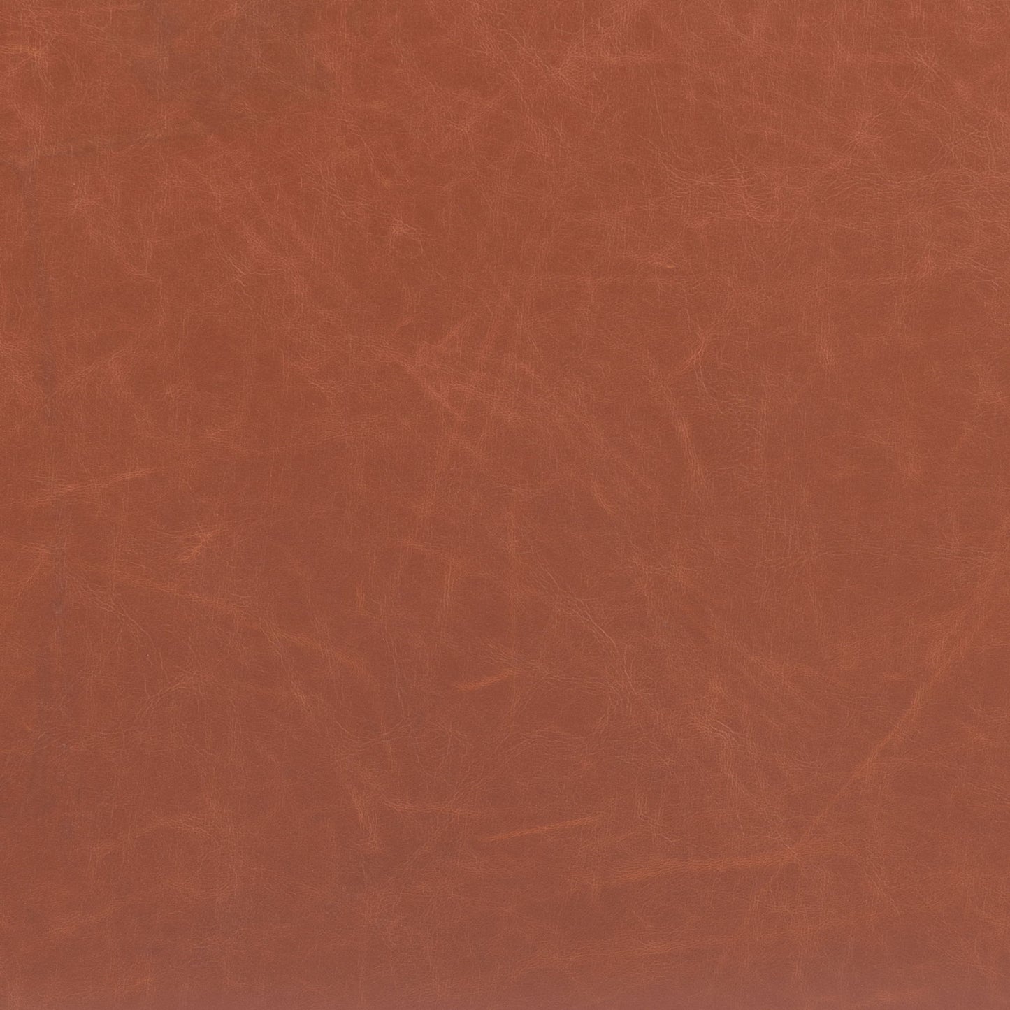 Pago - Dining Chair (Set of 2)