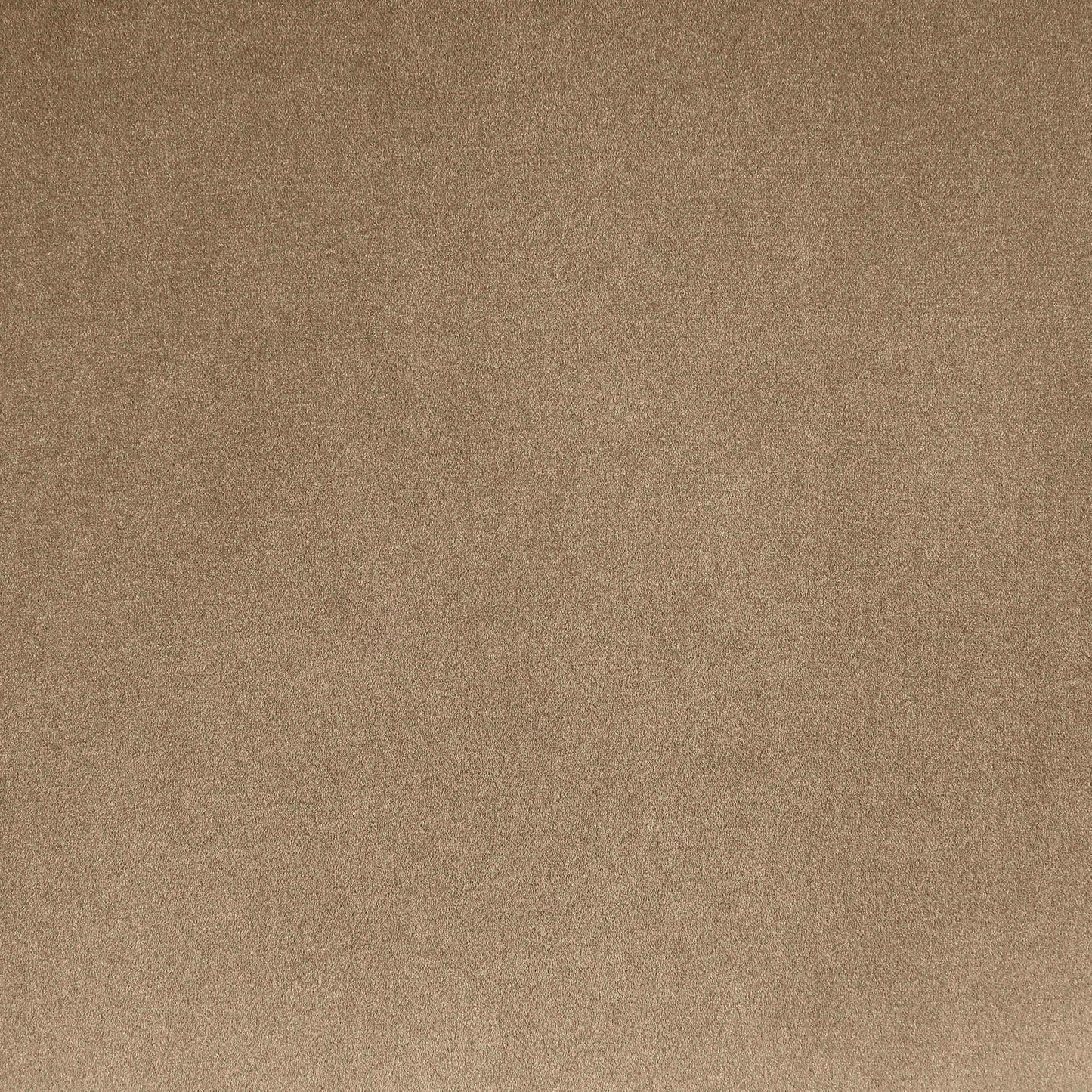 Dawson - Velvet Upholstered Bed