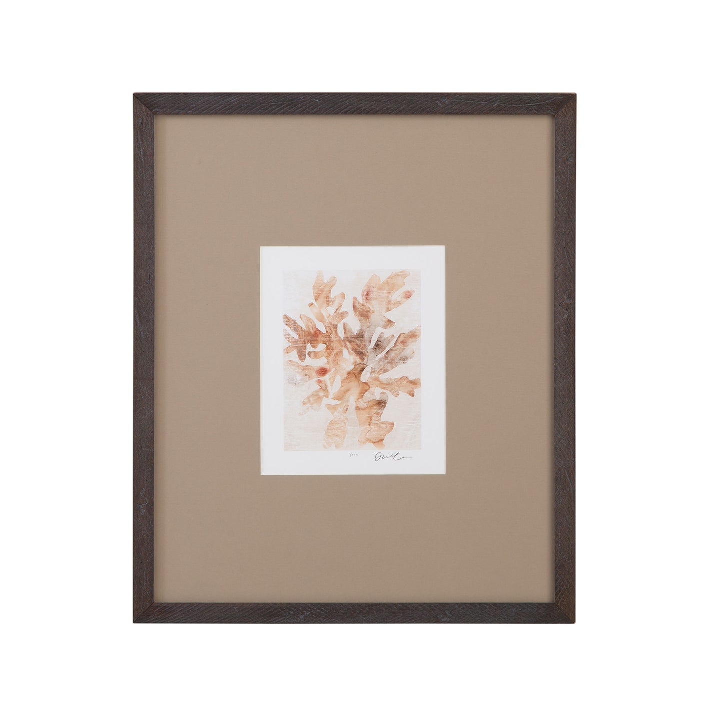 Parchment Coral IV Framed Print - Brown