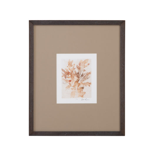Parchment Coral IV Framed Print - Brown