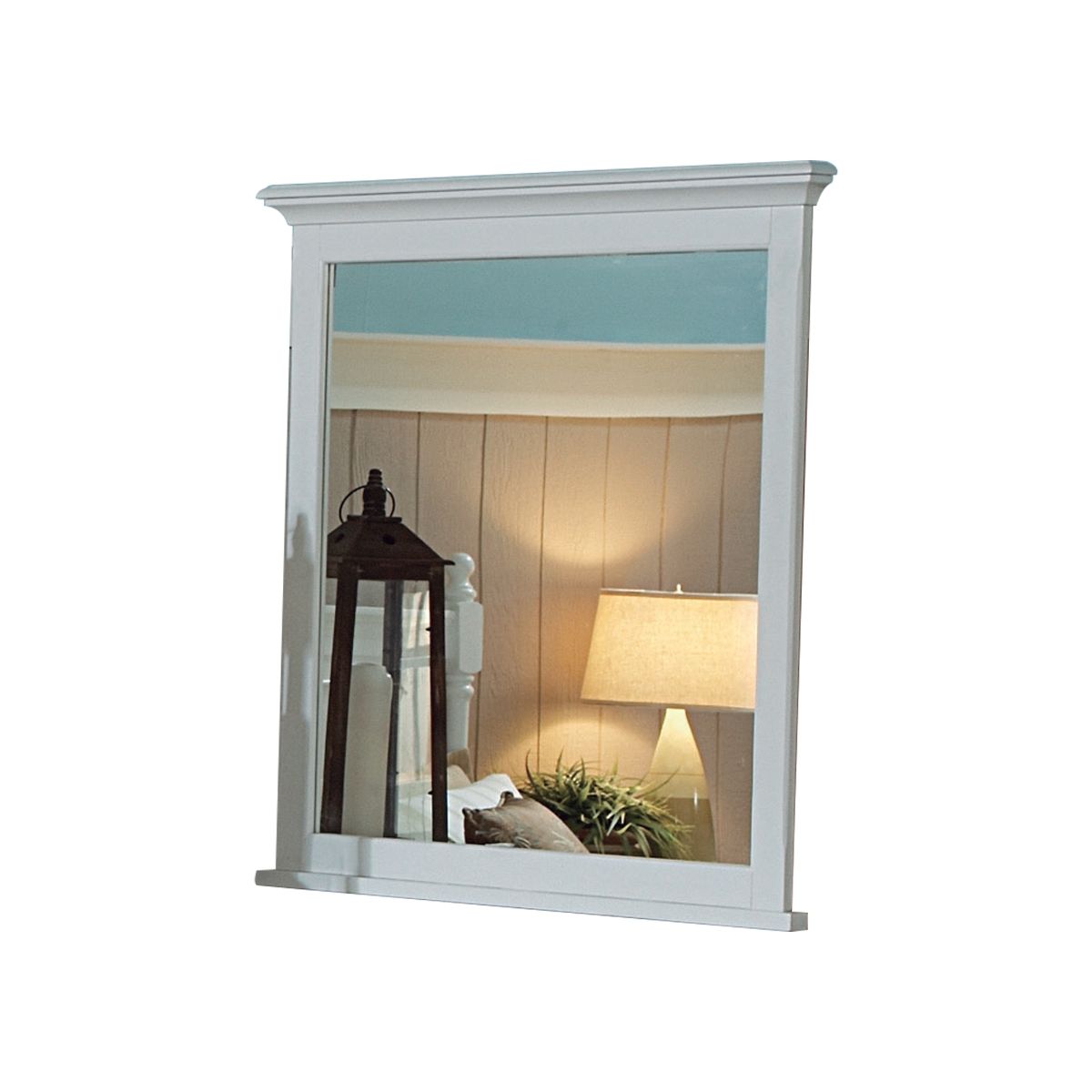 Morelle Mirror