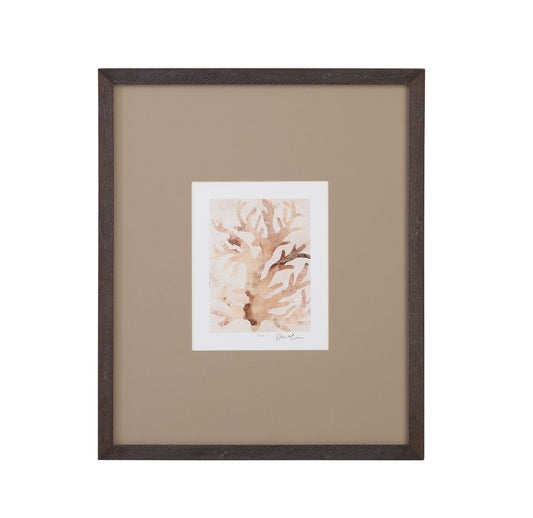 Parchment Coral III Framed Print - Brown