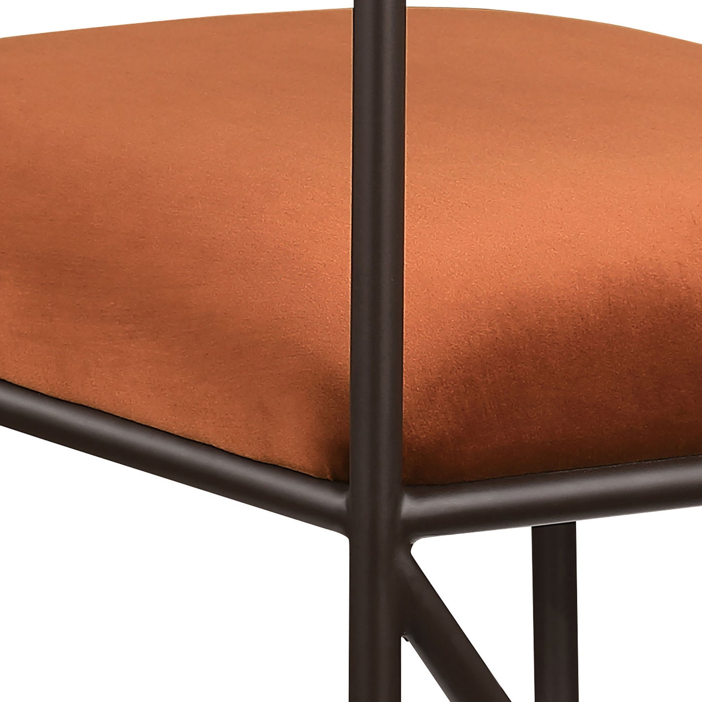 Monarch - Velvet Dining Chair (Set of 2)
