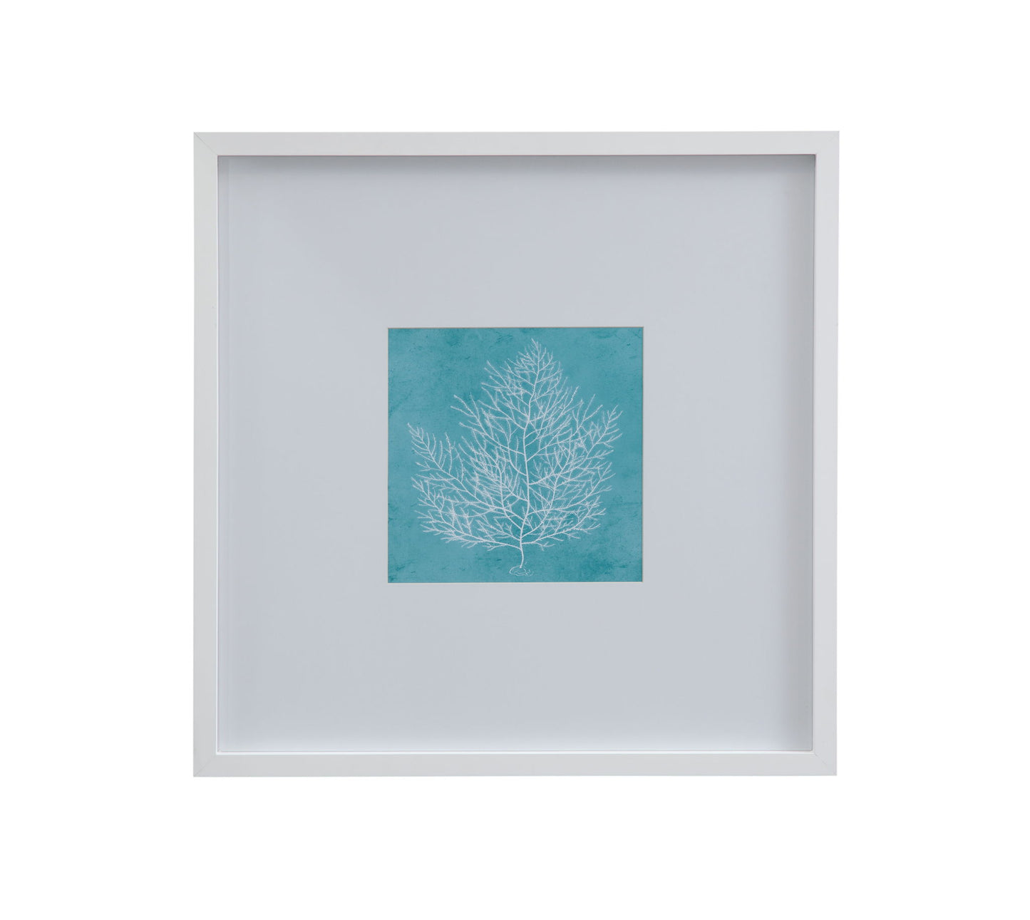 White Coral On Blue I Framed Print - Blue / White