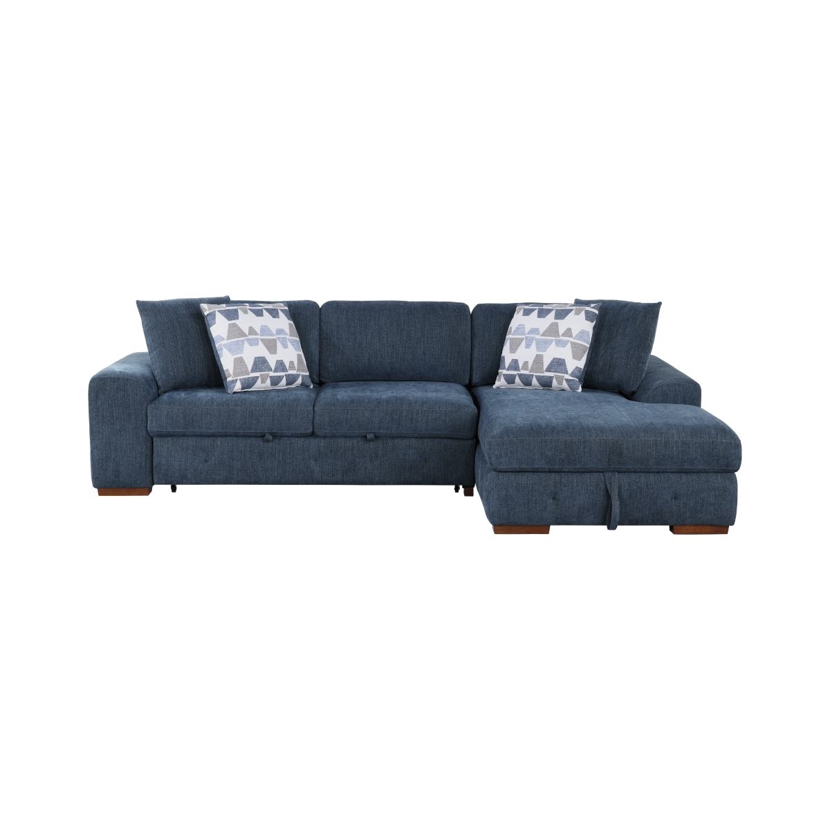 Raife 2-Piece Sectional with Right Chaise and Pull-out Bed