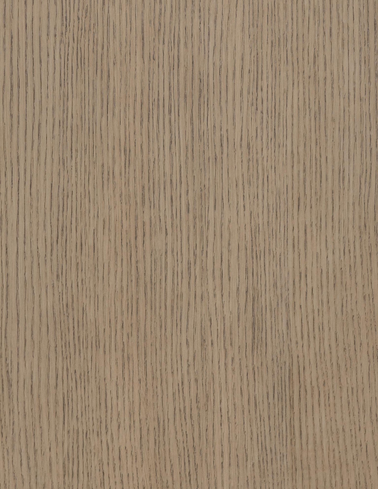 Theo - Complete Upholstered Panel Bed