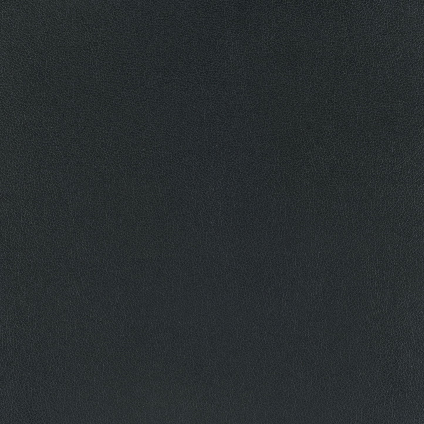 Equino - Barstool - Black