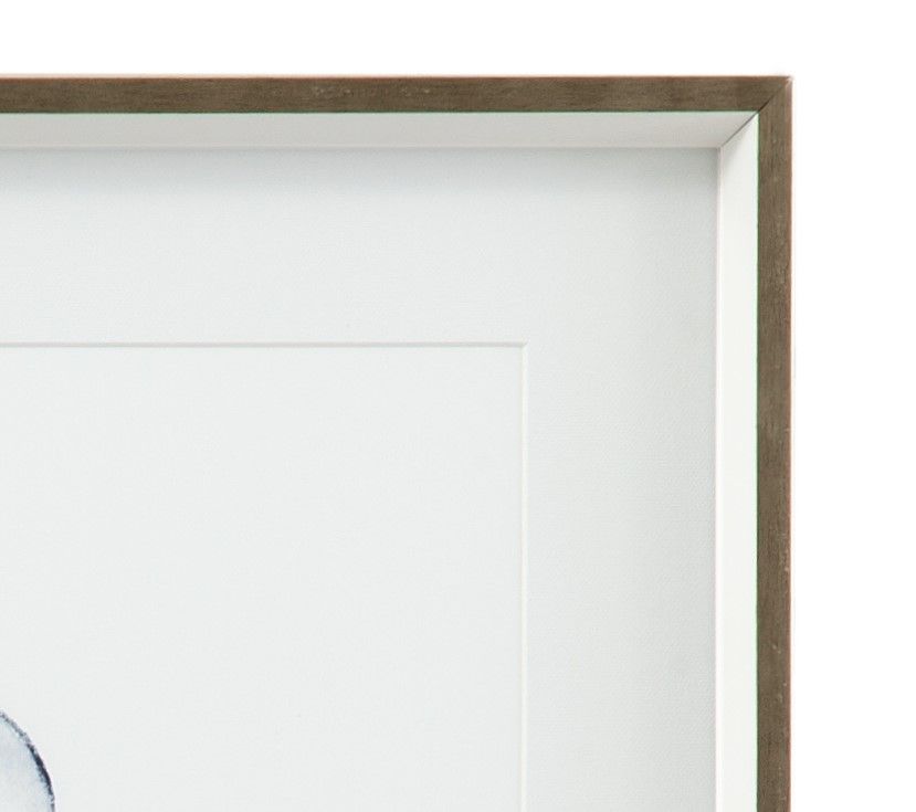 Quiet Conchin Indigo II Framed Print - Blue