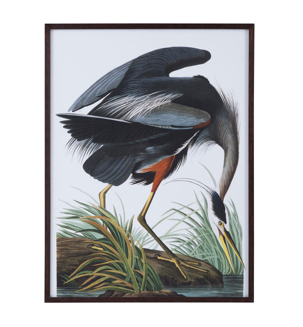 Audubon Great Blue Heron Framed Print - Gray