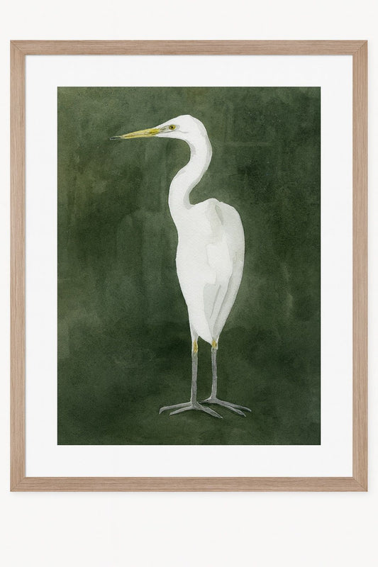 Emerald Heron IV Framed Print - Green / White