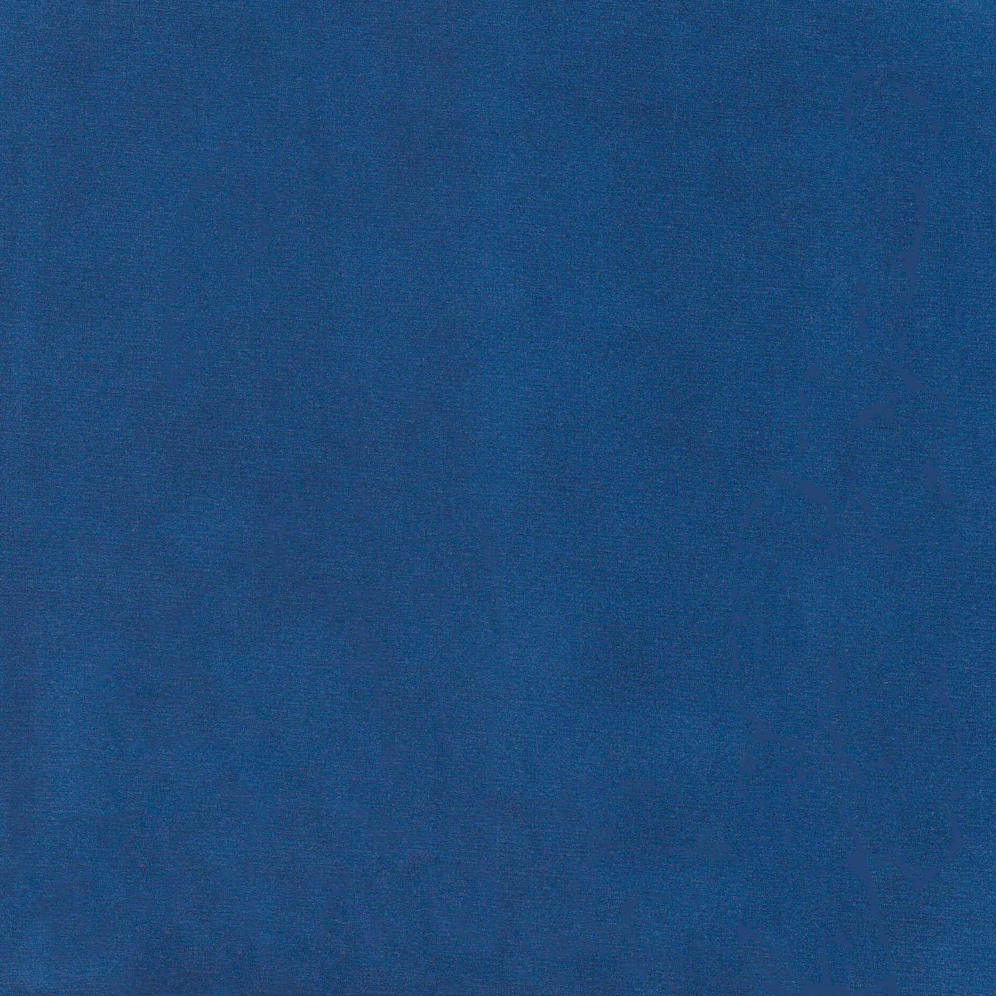 Maxine - Dining Chair