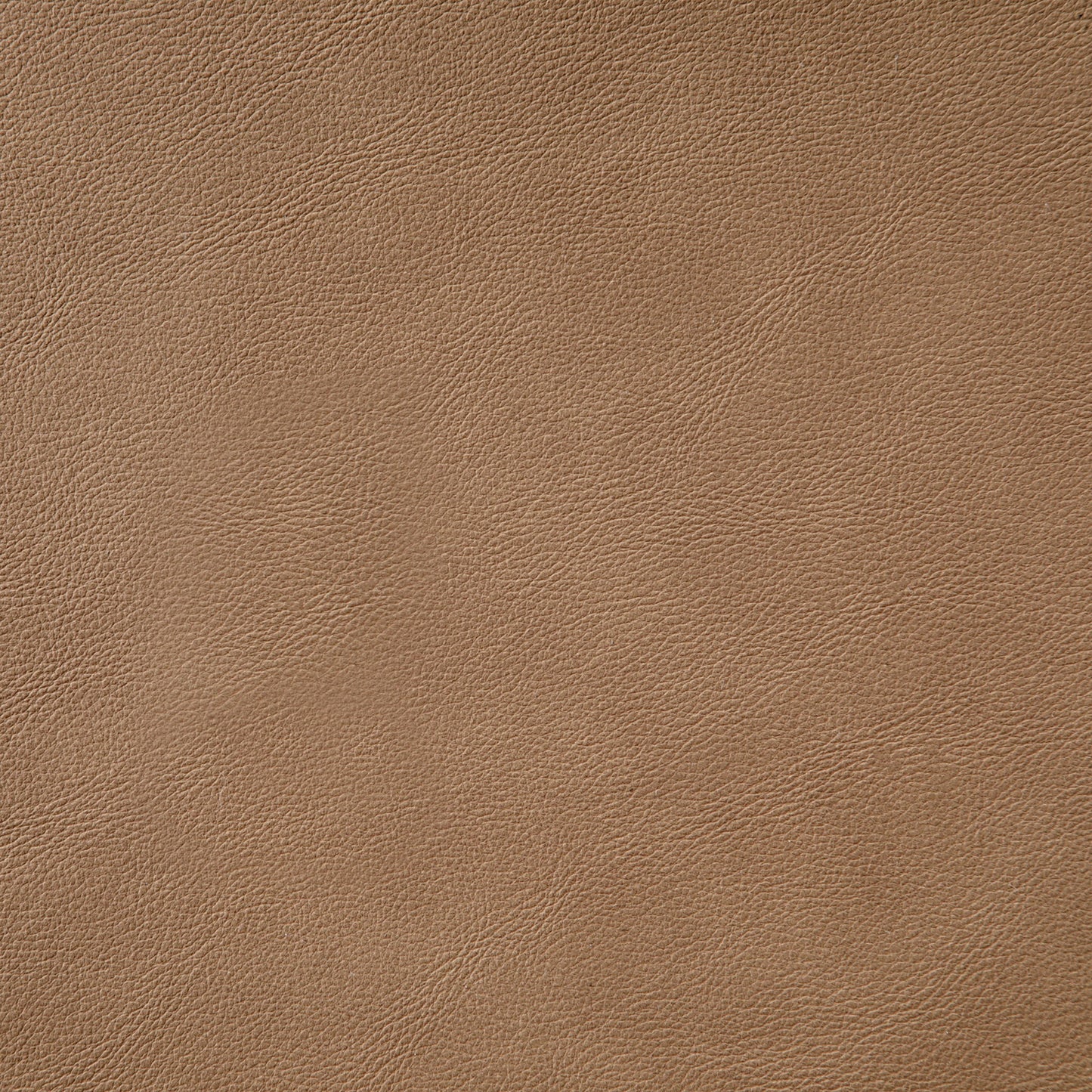 Aurum - Vegan Leather Upholstered Dining Chair With Graphite Black Base (Set of 2)