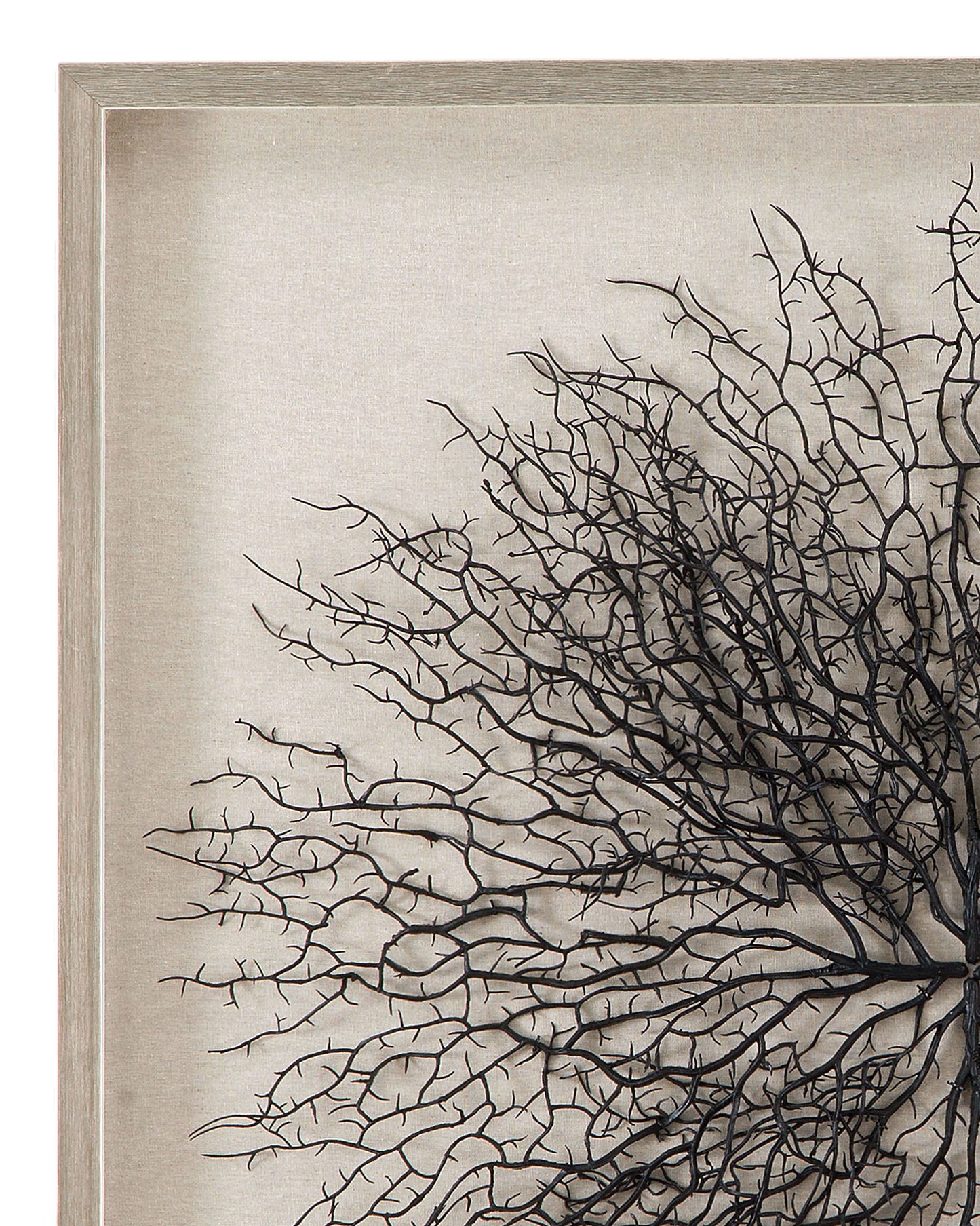 Gracee Canvas Art - Pearl Silver