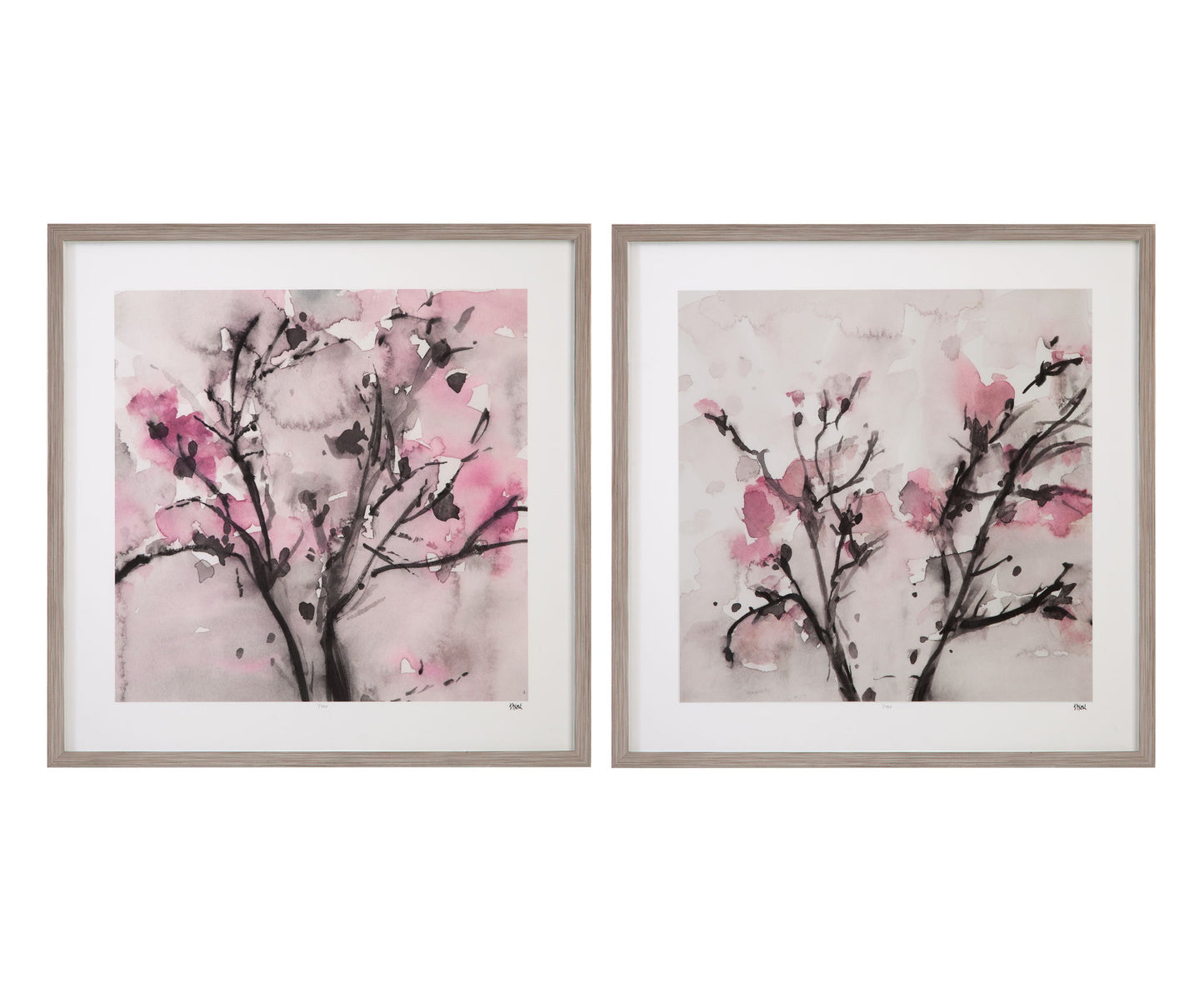 The Blossoms II Framed Print - Pink