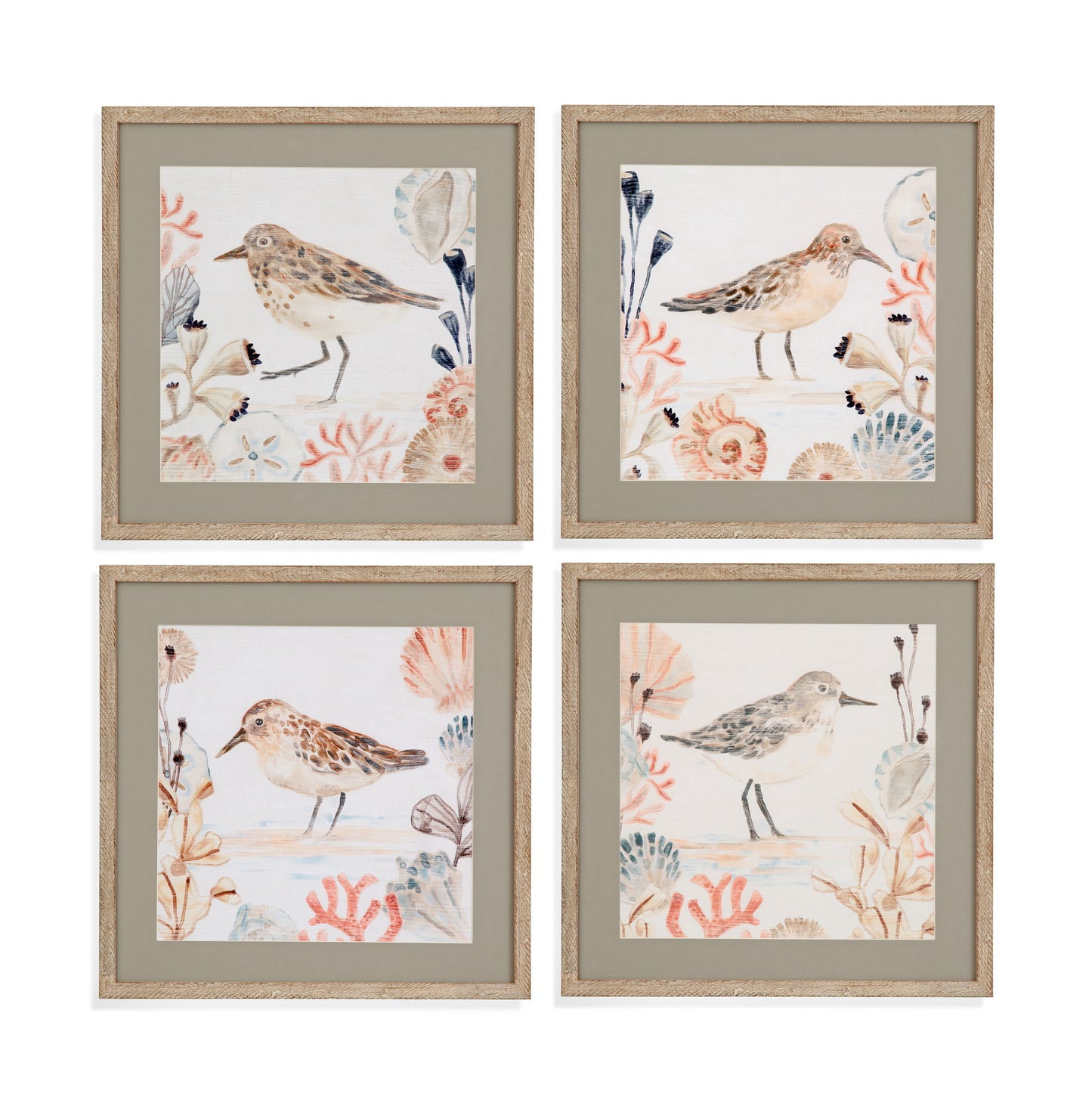 Shell Peppers Framed Print (Set of 4) - White