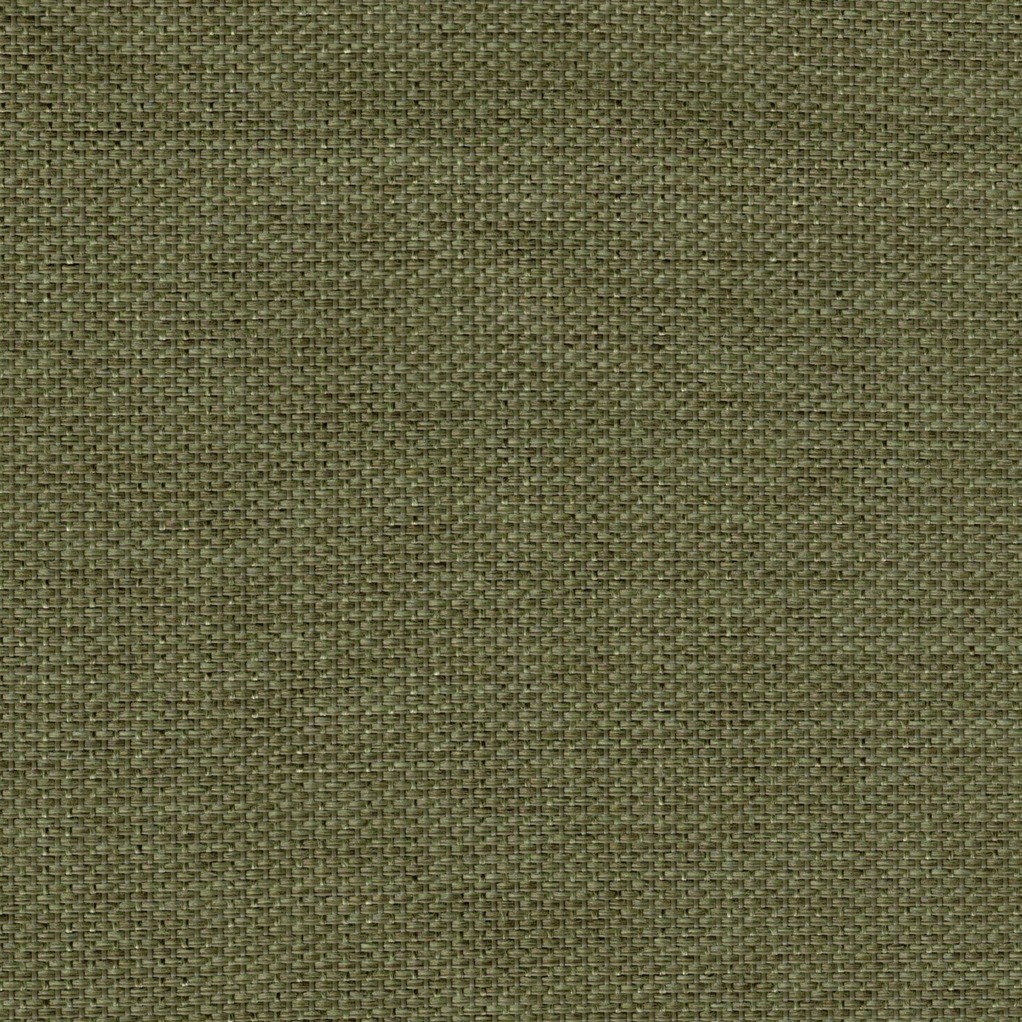 Boise - Hanging Chair - Green
