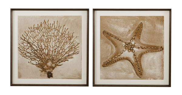 Neutral Seafan & Starfish Framed Print (Set of 2) - Light Brown