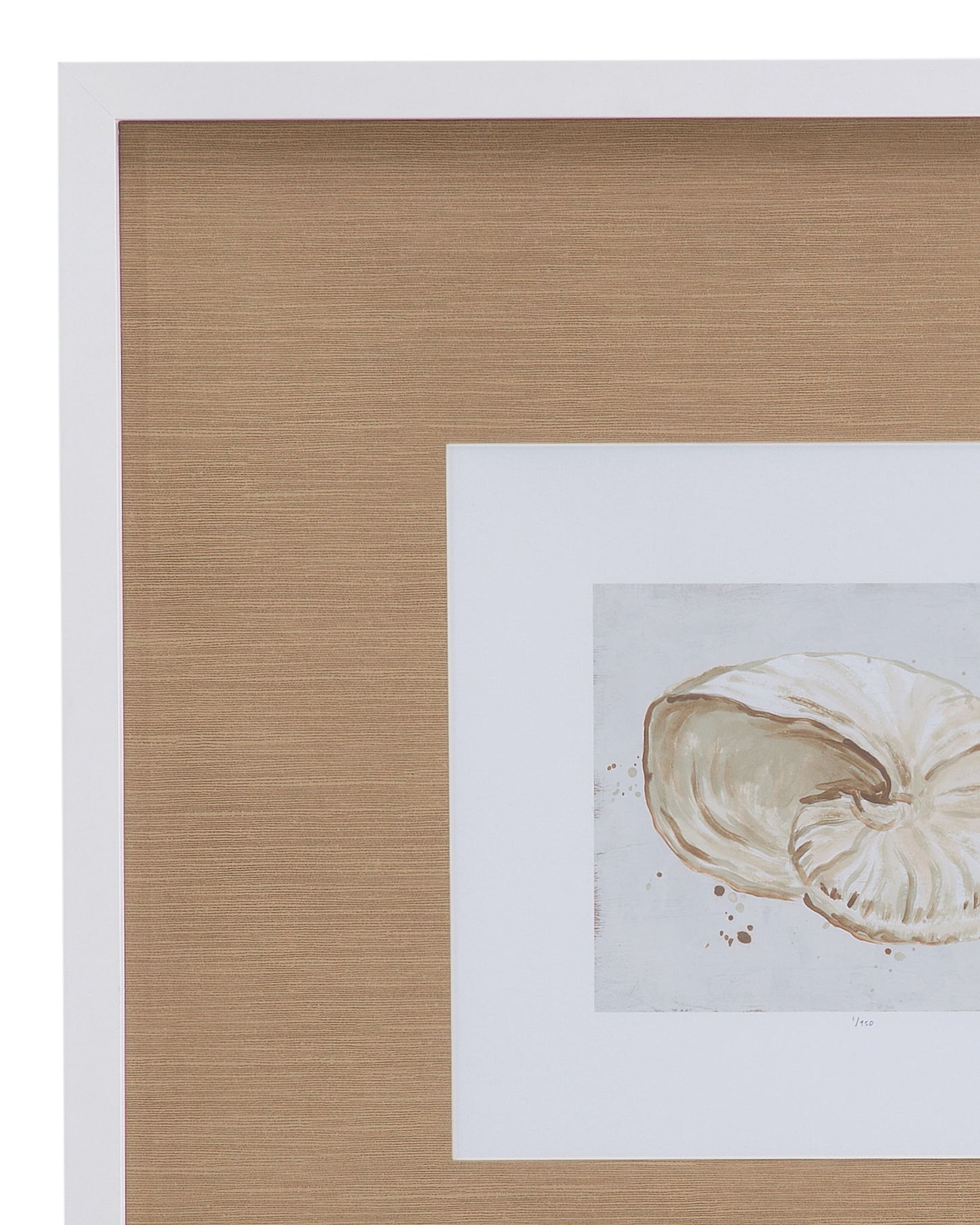 Neutral Shell Fresco Framed Print (Set of 4) - Light Brown / White