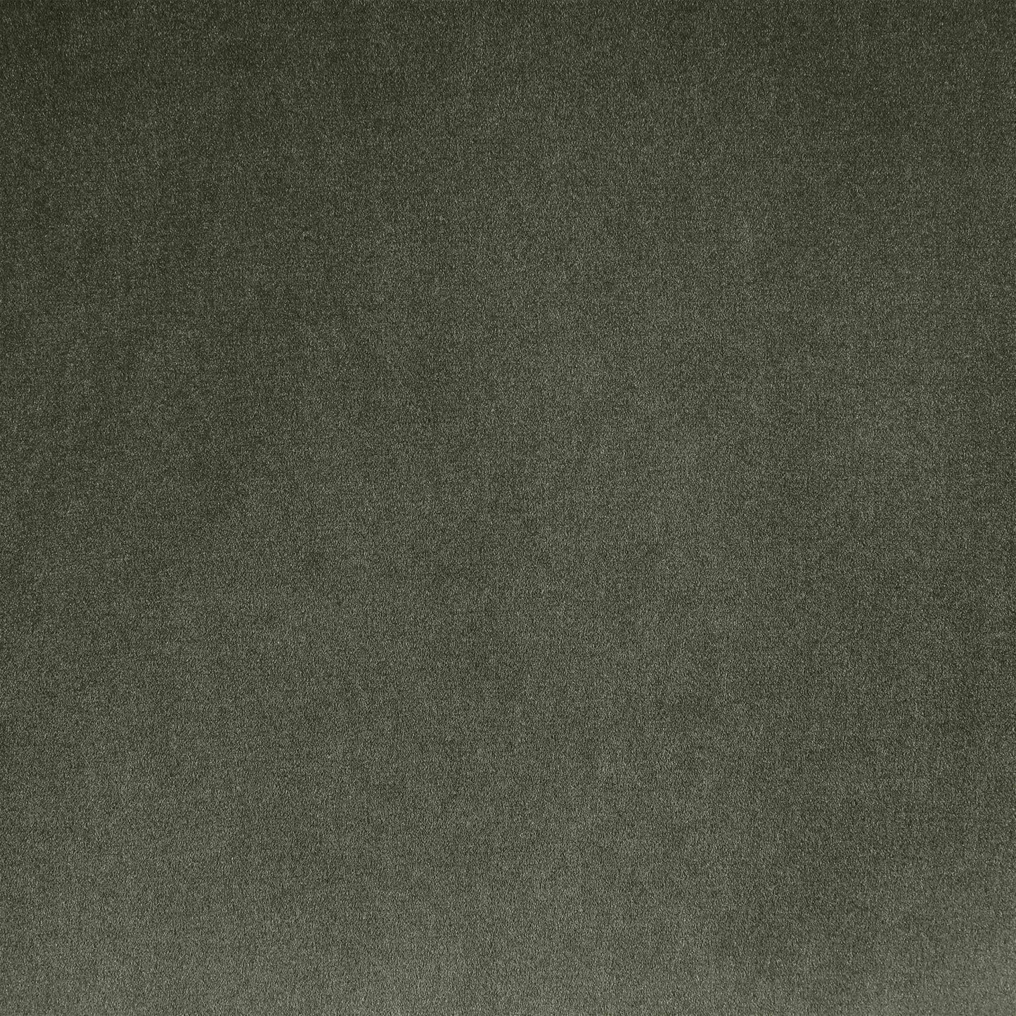 Gustavo - Velvet Upholstered Chair