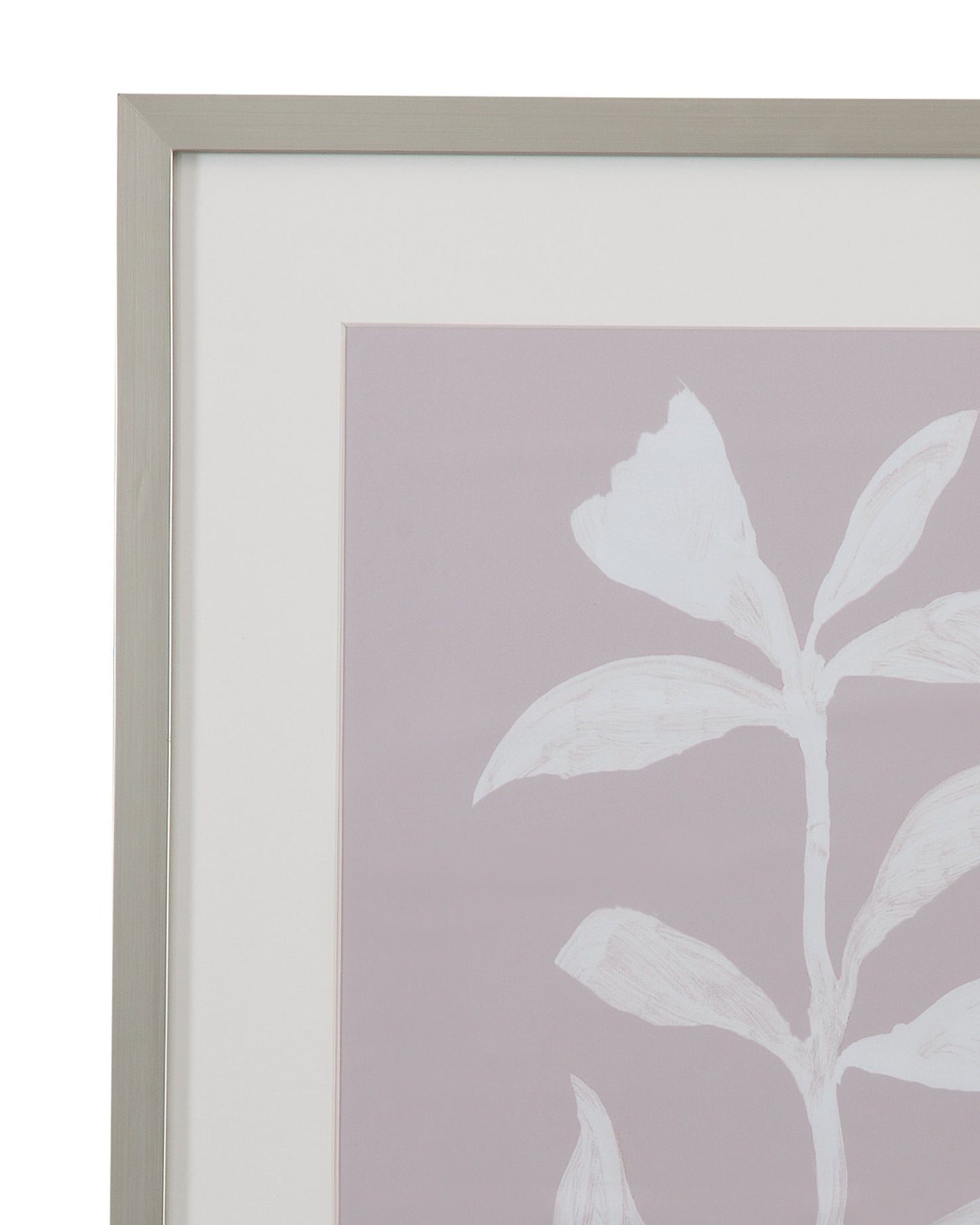 Fresh Leaves II Framed Print - Gray