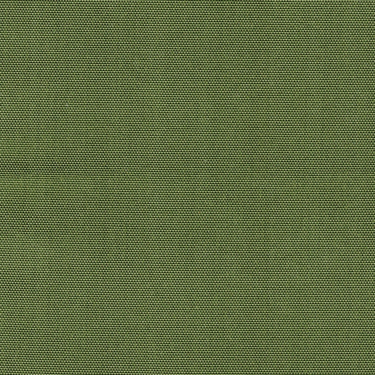 Boise - Hanging Chair - Green