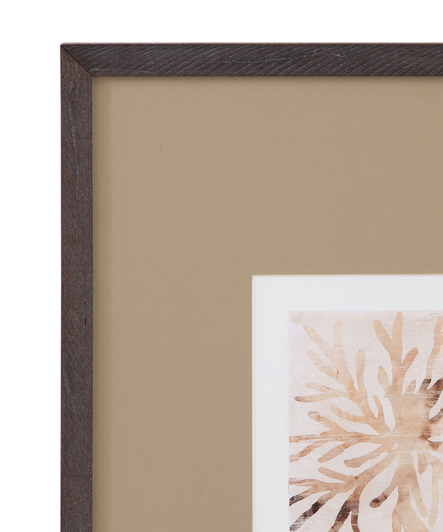 Parchment Coral II Framed Print - Brown