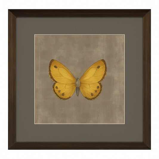 Papilio Luxe Flavus Framed Print - Yellow / Beige