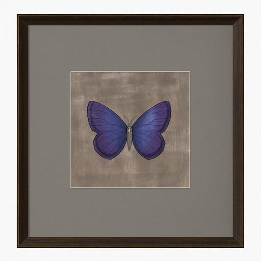 Papilio Luxe Caeruleum Framed Print - Periwinkle / Beige