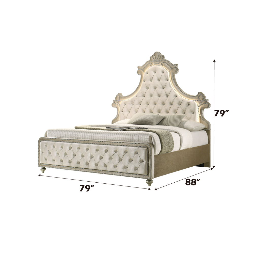 Lucienne - Bed With LED