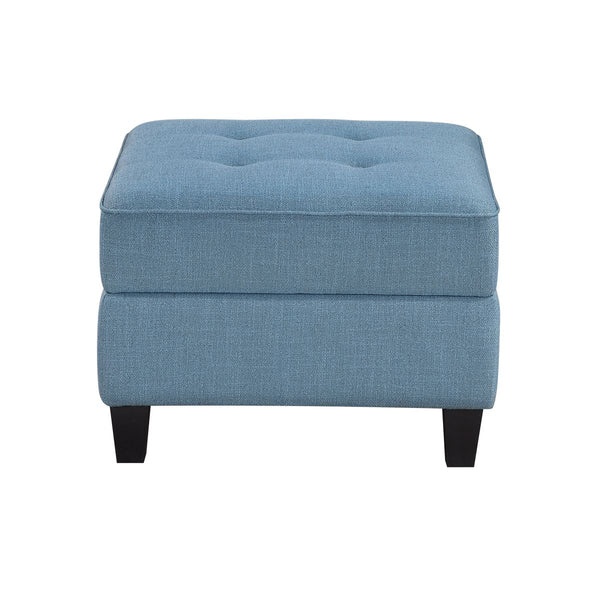Garren Ottoman with Storage