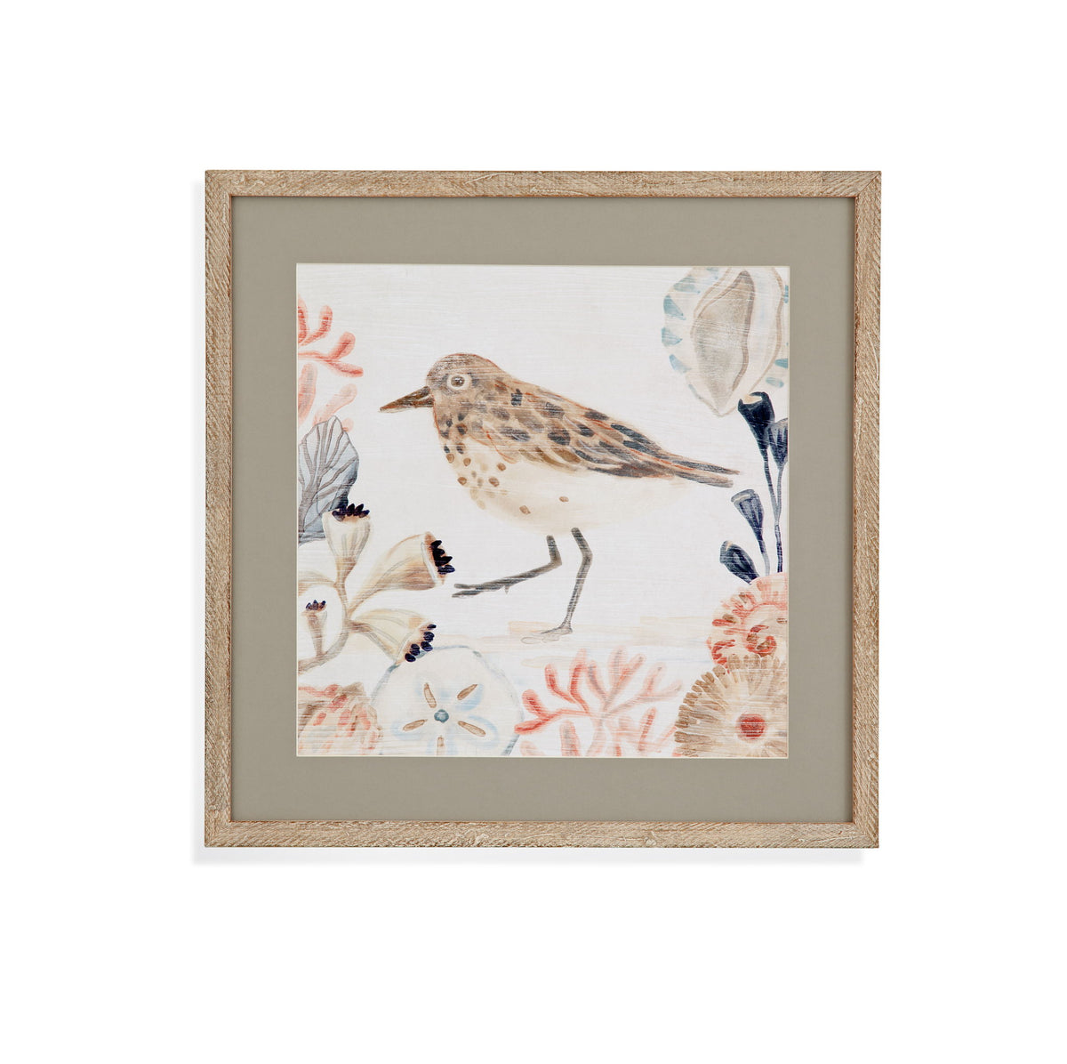 Shell Peppers II Framed Print - White