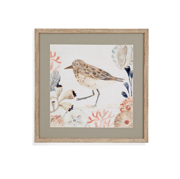 Shell Peppers II Framed Print - White