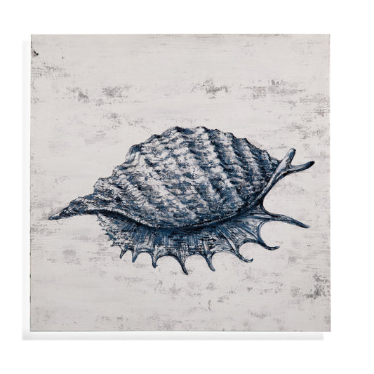Shell I Canvas Art - Blue / Gray