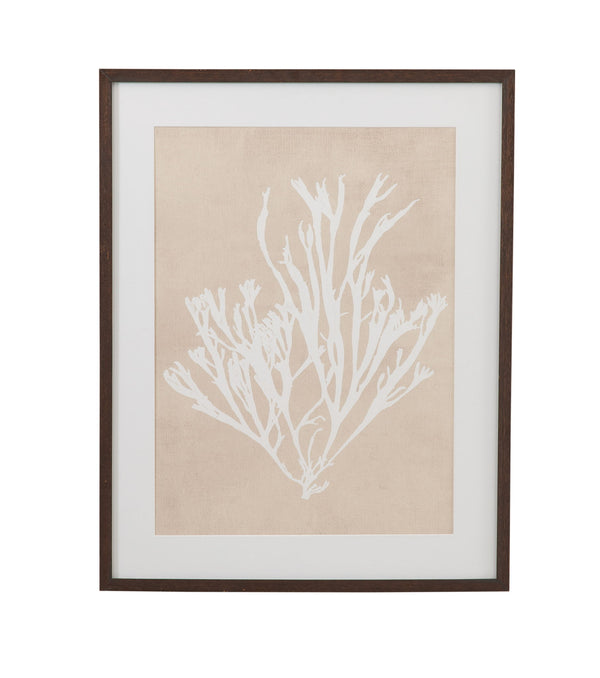 Gracilaria Multipartita Framed Print - Beige